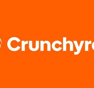 Crunchyroll 12 Monate Mega Fan Subsciption Account